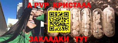 герыч Кингисепп