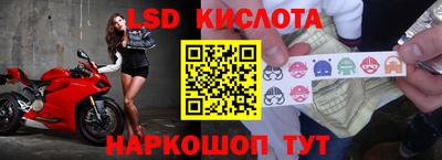 герыч Кингисепп