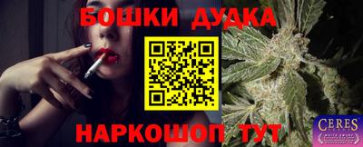 герыч Кингисепп